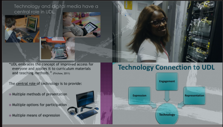 Fostering Inclusive IT Training in Nigeria Through Universal Design for Learning (UDL)