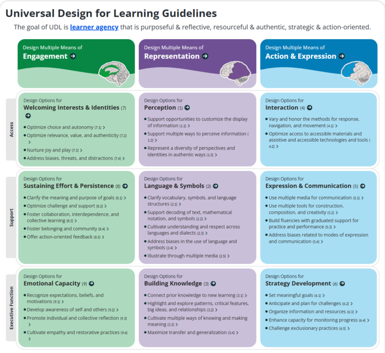 Beyond One-Size-Fits-All: Embracing UDL for Diverse Minds